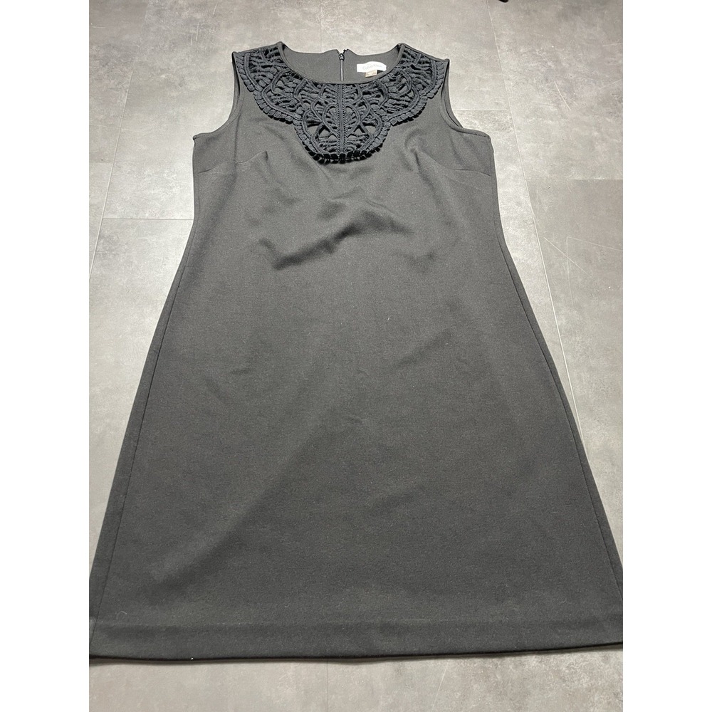 Calvin Klein Women Size 12 Petite Sleeveless Straight Little Black Dress F-167